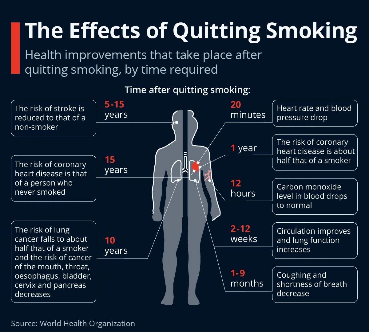 World No Tobacco Day 2026 infographic showing health benefits and body recovery timeline after quitting smoking.