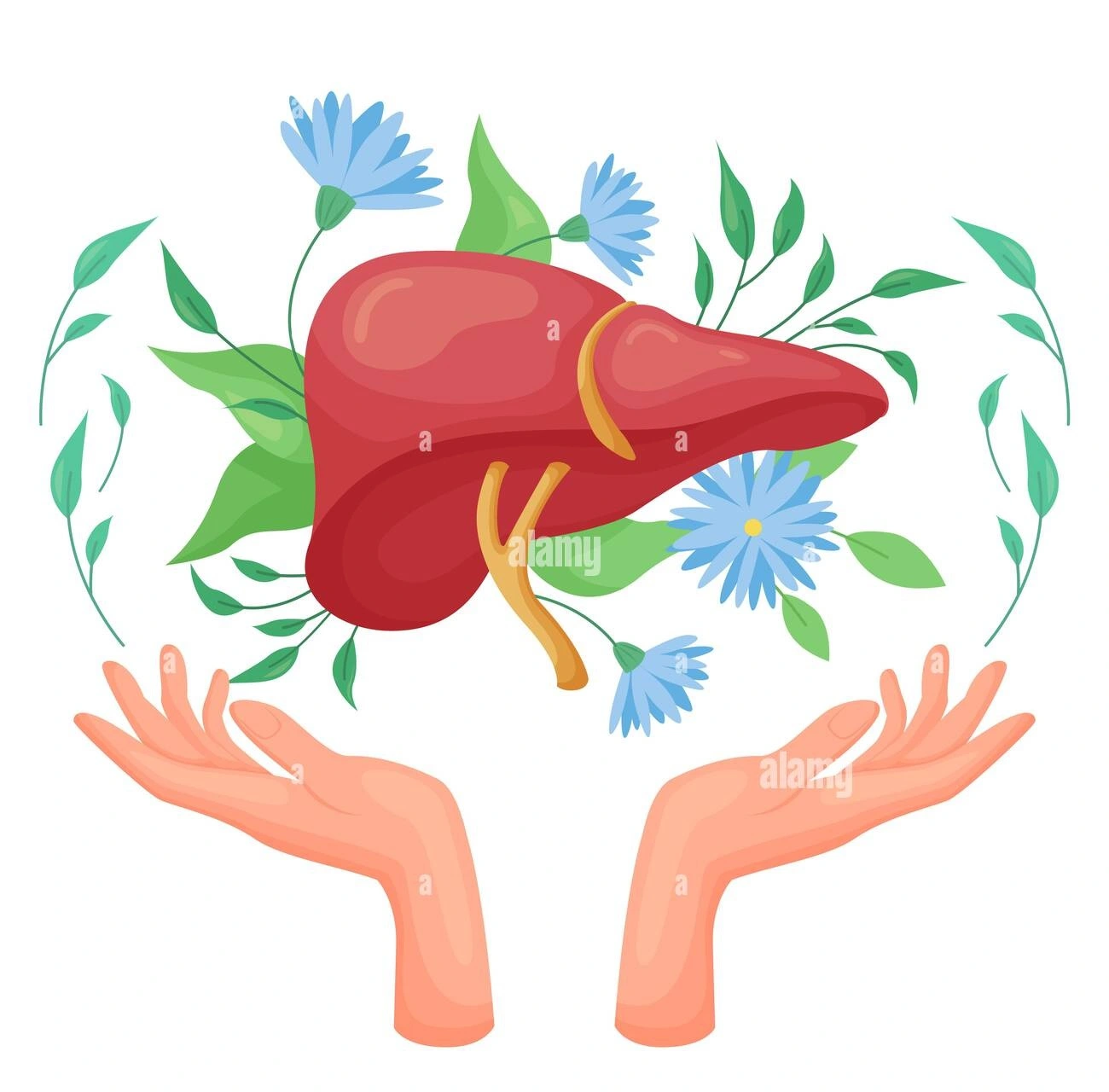 Hepatitis symptoms and prevention infographic